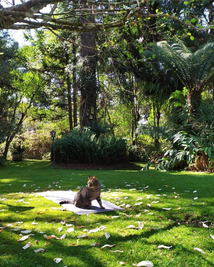 Casa Goldoni Gramado 4 Quartos Εξωτερικό φωτογραφία