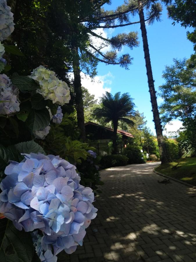 Casa Goldoni Gramado 4 Quartos Εξωτερικό φωτογραφία